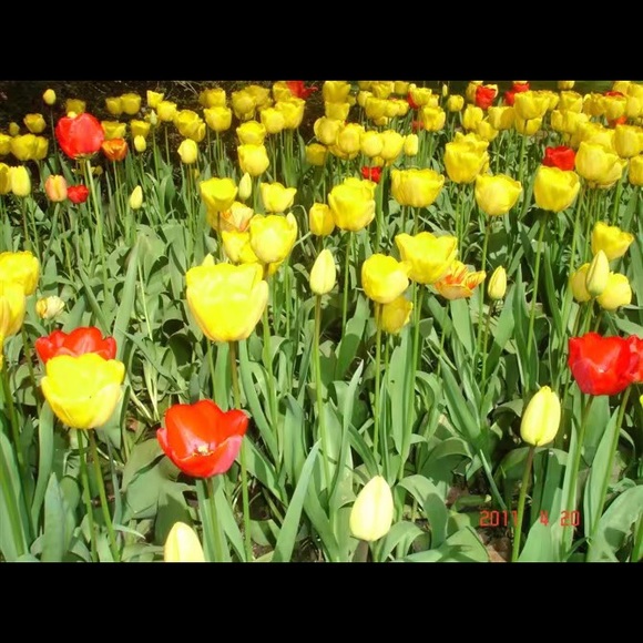 MOVING SALE! WELCOME OFFERS !!! This is the best time to shop in my closet! - Picture 1 of 1